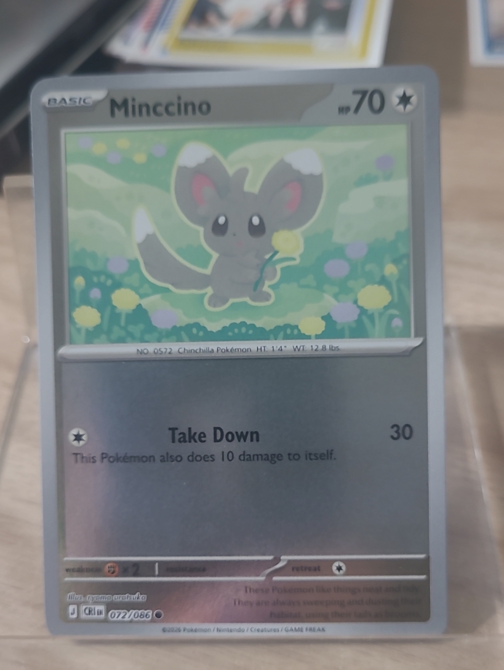 Minccino Pokémon Holographic Card - Chaos Rising Reverse Holo #72/86